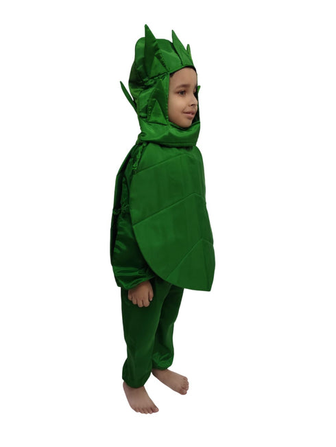 BookMyCostume Spinach Palak Green Leafy Vegetable Kids Fancy Dress Costume